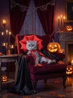 Gray cat in the Vampire King cape on a velvet armchair in a gothic Halloween room