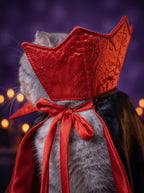 Close-up of the red satin collar and ribbon tie of the Vampire King cape