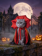 Cat wearing the Vampire King cape at a gothic cemetery gate at dusk